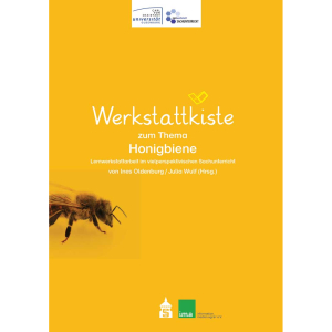 Werkstattkiste zum Thema Honigbiene