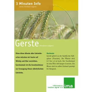 3 Minuten Info Gerste