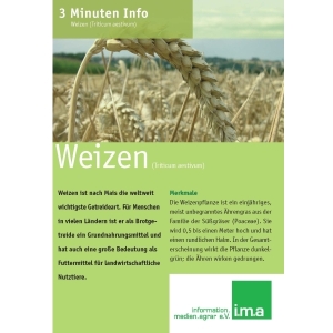 3 Minuten Info Weizen